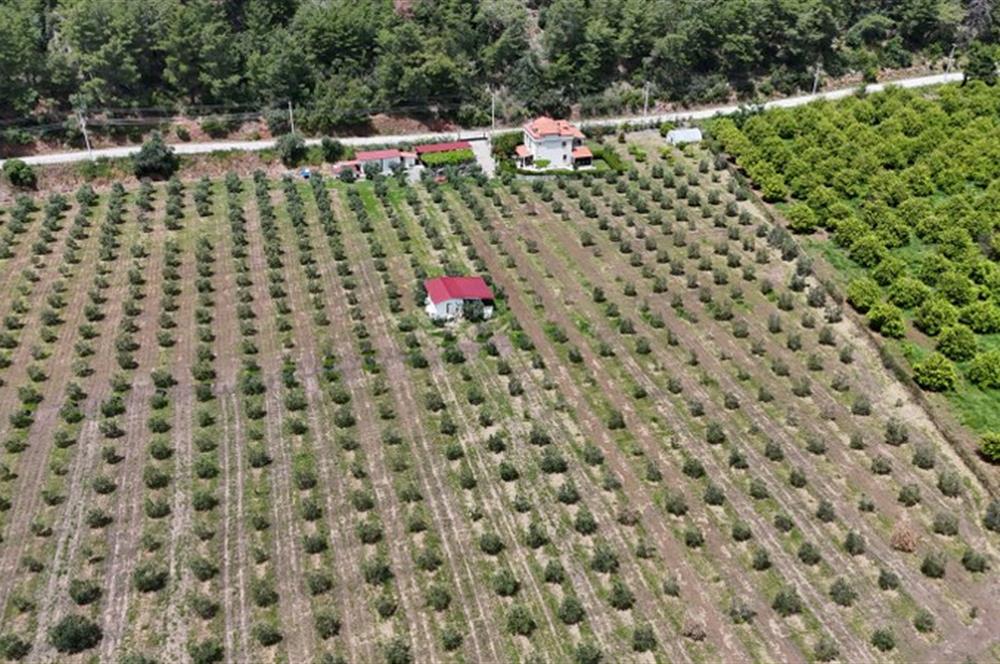 Muğla Ortaca 28 Dönüm Tam Donanımlı Çiftlik