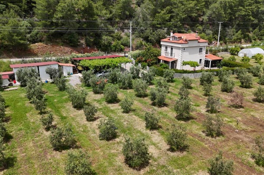 Muğla Ortaca 28 Dönüm Tam Donanımlı Çiftlik