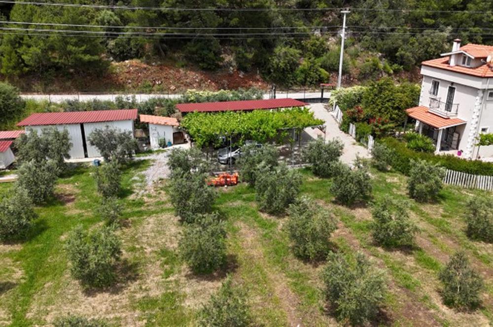 Muğla Ortaca 28 Dönüm Tam Donanımlı Çiftlik