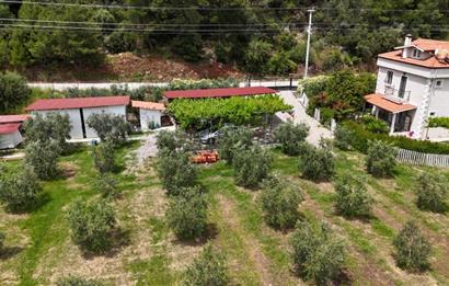 Muğla Ortaca 28 Dönüm Tam Donanımlı Çiftlik