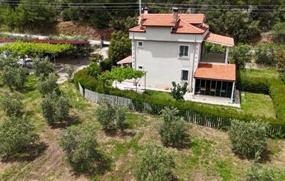 Muğla Ortaca 28 Dönüm Tam Donanımlı Çiftlik
