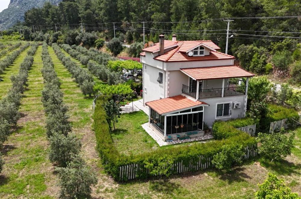 Muğla Ortaca 28 Dönüm Tam Donanımlı Çiftlik