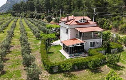 Muğla Ortaca 28 Dönüm Tam Donanımlı Çiftlik