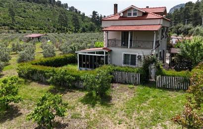 Muğla Ortaca 28 Dönüm Tam Donanımlı Çiftlik