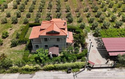 Muğla Ortaca 28 Dönüm Tam Donanımlı Çiftlik