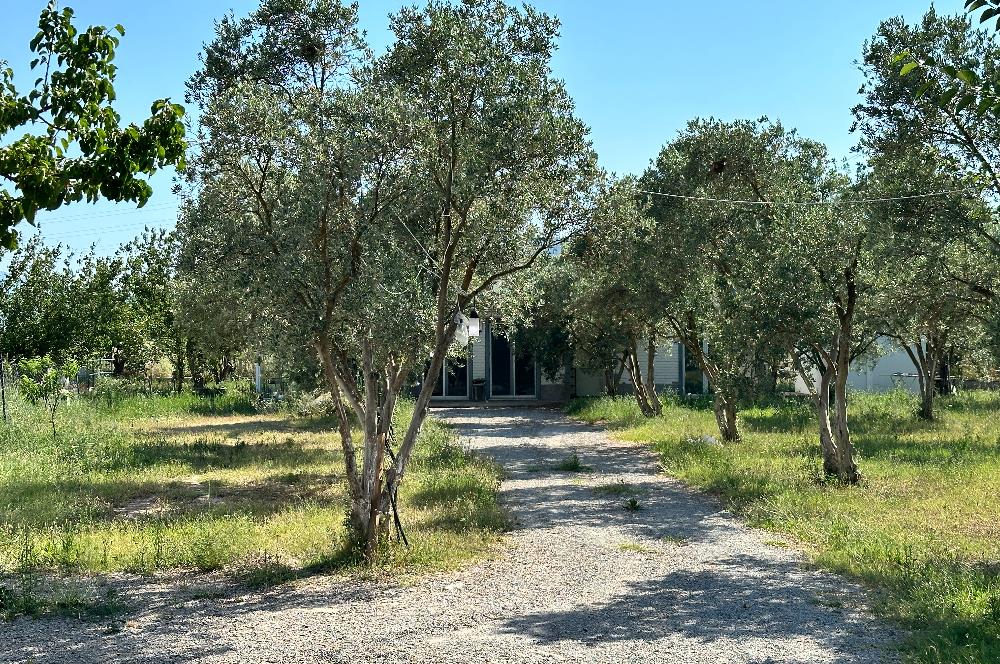 Bodrum Mumcular 2250 m² Arsa İçerisinde Satılık Çiftlik Ev