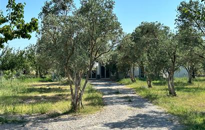 Bodrum Mumcular 2250 m² Arsa İçerisinde Satılık Çiftlik Ev