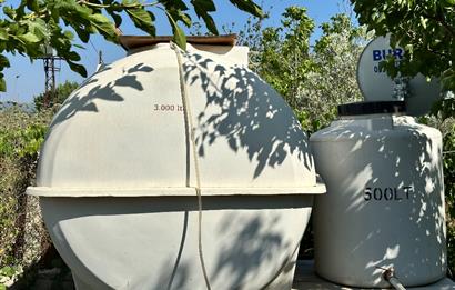 Bodrum Mumcular 2250 m² Arsa İçerisinde Satılık Çiftlik Ev