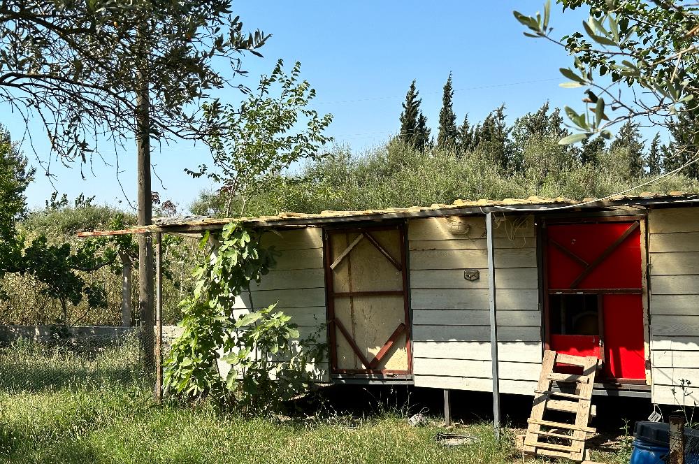 Bodrum Mumcular 2250 m² Arsa İçerisinde Satılık Çiftlik Ev