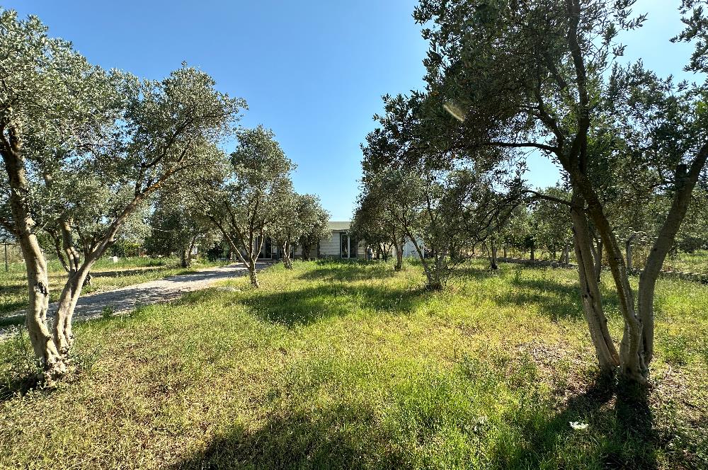 Bodrum Mumcular 2250 m² Arsa İçerisinde Satılık Çiftlik Ev