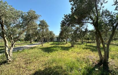Bodrum Mumcular 2250 m² Arsa İçerisinde Satılık Çiftlik Ev