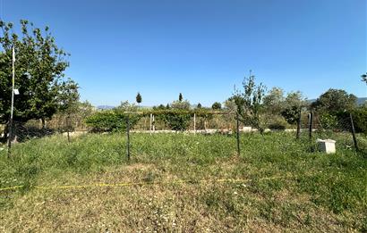 Bodrum Mumcular 2250 m² Arsa İçerisinde Satılık Çiftlik Ev