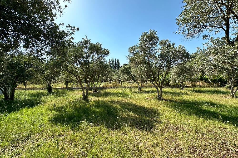 Bodrum Mumcular 2250 m² Arsa İçerisinde Satılık Çiftlik Ev
