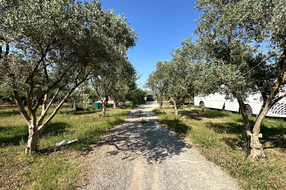 Bodrum Mumcular 2250 m² Arsa İçerisinde Satılık Çiftlik Ev