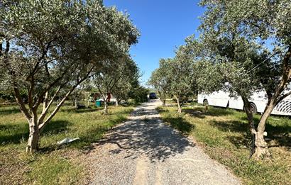 Bodrum Mumcular 2250 m² Arsa İçerisinde Satılık Çiftlik Ev