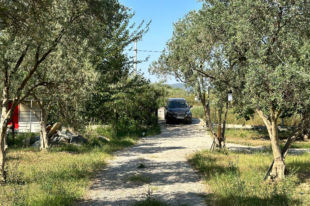 Bodrum Mumcular 2250 m² Arsa İçerisinde Satılık Çiftlik Ev