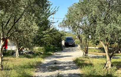 Bodrum Mumcular 2250 m² Arsa İçerisinde Satılık Çiftlik Ev