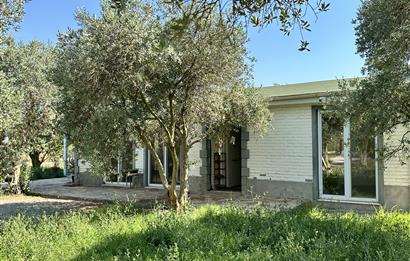 Bodrum Mumcular 2250 m² Arsa İçerisinde Satılık Çiftlik Ev