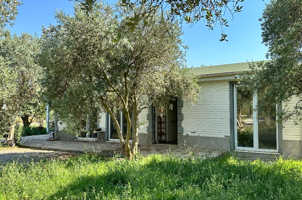 Bodrum Mumcular 2250 m² Arsa İçerisinde Satılık Çiftlik Ev