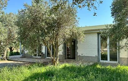 Bodrum Mumcular 2250 m² Arsa İçerisinde Satılık Çiftlik Ev