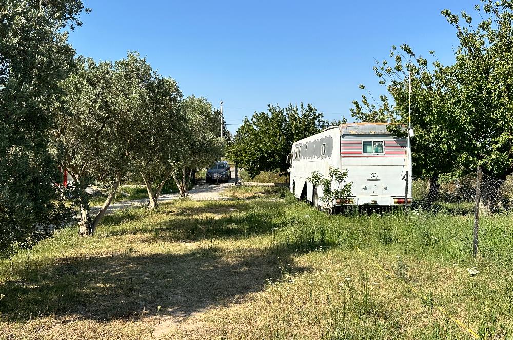 Bodrum Mumcular 2250 m² Arsa İçerisinde Satılık Çiftlik Ev