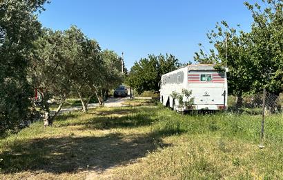 Bodrum Mumcular 2250 m² Arsa İçerisinde Satılık Çiftlik Ev