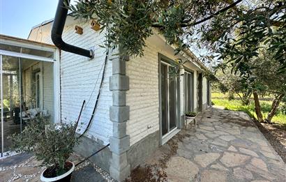 Bodrum Mumcular 2250 m² Arsa İçerisinde Satılık Çiftlik Ev