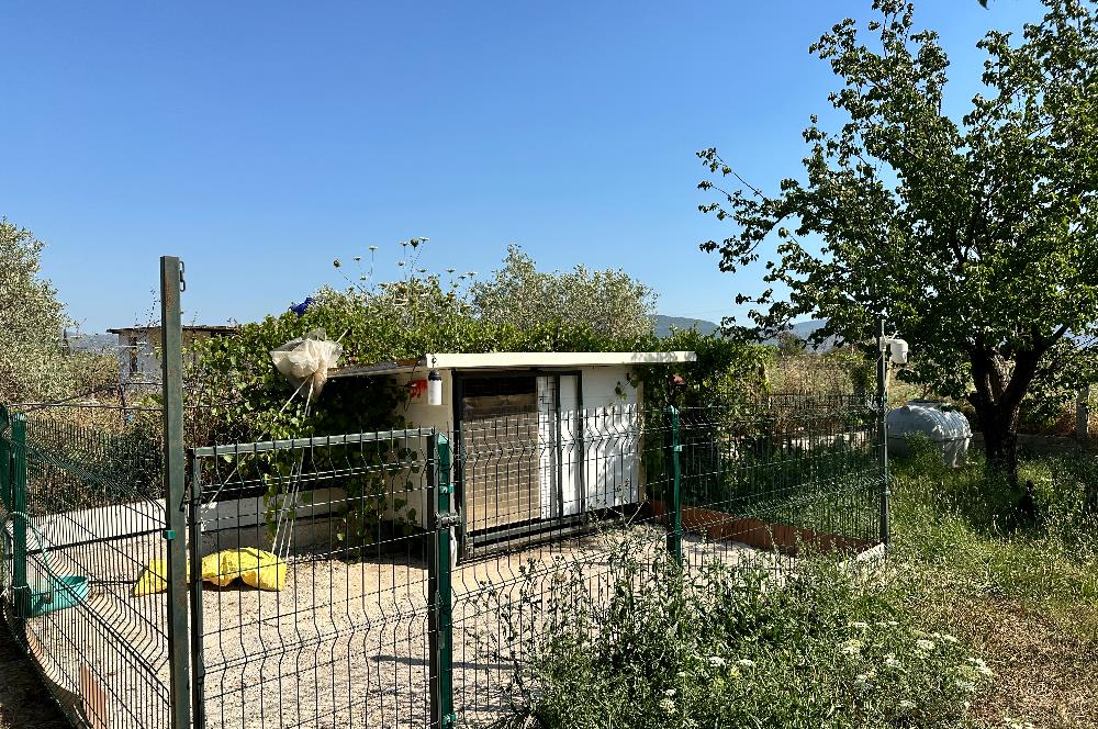 Bodrum Mumcular 2250 m² Arsa İçerisinde Satılık Çiftlik Ev