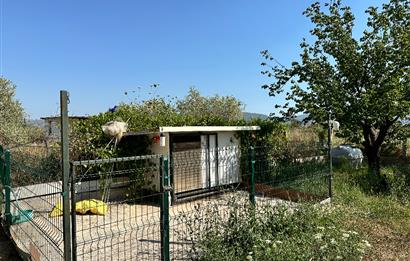 Bodrum Mumcular 2250 m² Arsa İçerisinde Satılık Çiftlik Ev