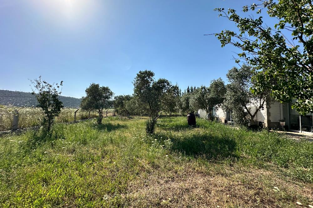 Bodrum Mumcular 2250 m² Arsa İçerisinde Satılık Çiftlik Ev