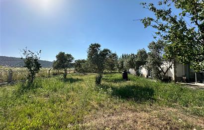 Bodrum Mumcular 2250 m² Arsa İçerisinde Satılık Çiftlik Ev