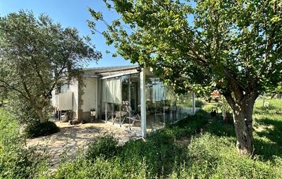 Bodrum Mumcular 2250 m² Arsa İçerisinde Satılık Çiftlik Ev
