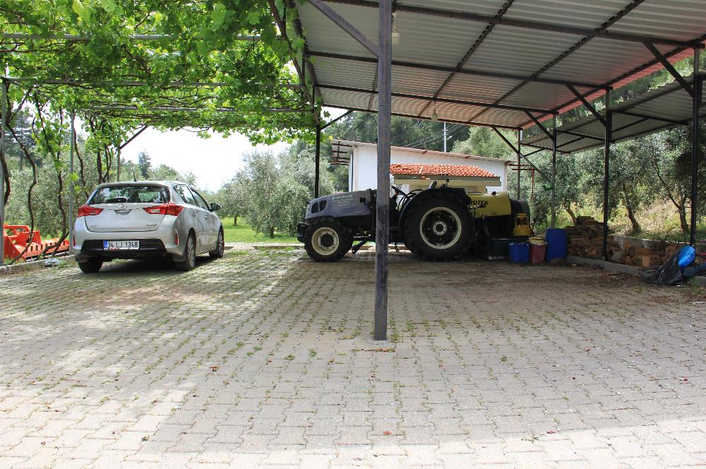 Muğla Ortaca 28 Dönüm Tam Donanımlı Çiftlik