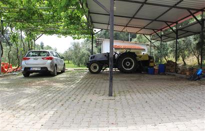 Muğla Ortaca 28 Dönüm Tam Donanımlı Çiftlik