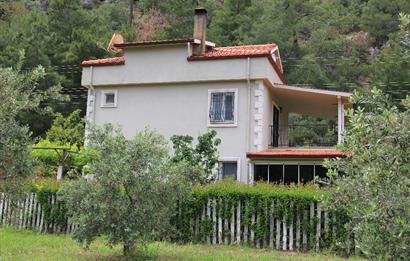 Muğla Ortaca 28 Dönüm Tam Donanımlı Çiftlik