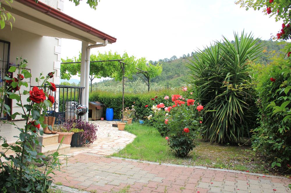 Muğla Ortaca 28 Dönüm Tam Donanımlı Çiftlik