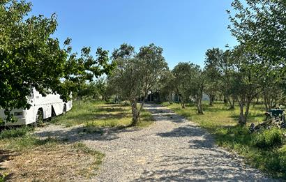Mumcular'da Kiralık 2,2 Dönüm Arsa ve 3+1 Çiftlik Evi