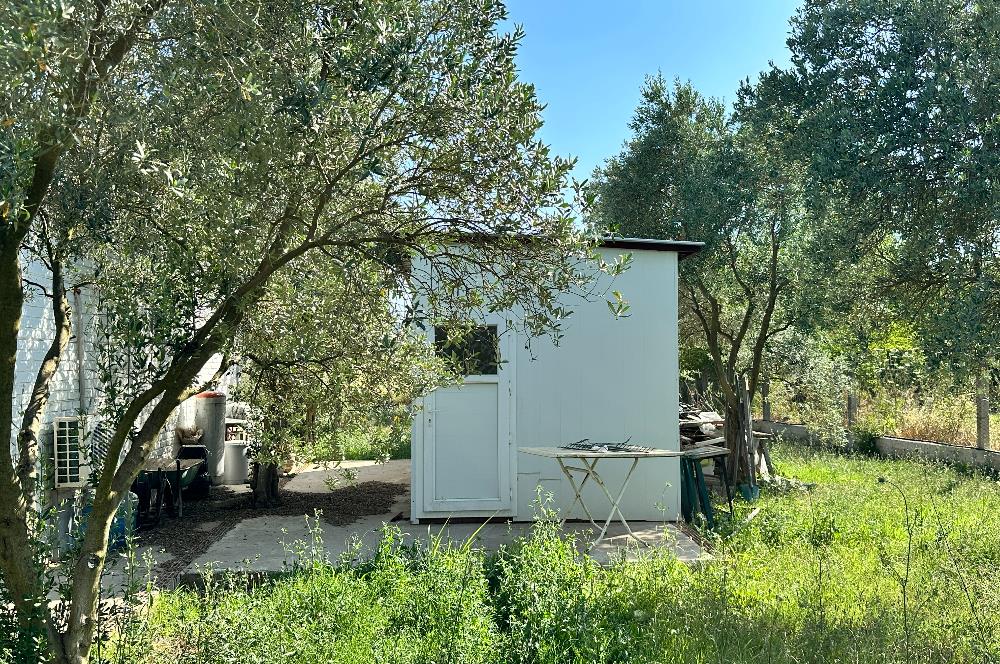 Mumcular'da Kiralık 2,2 Dönüm Arsa ve 3+1 Çiftlik Evi