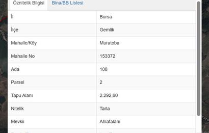 C21 Cius; Muratoba'da Tarla