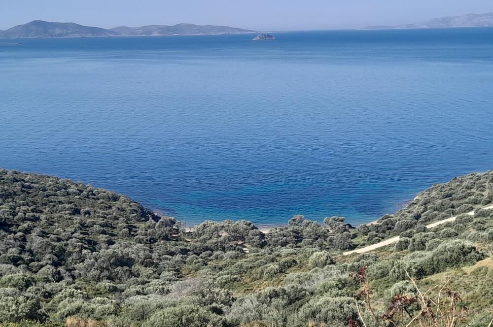Bodrum Gümüşlük Bahçeli Müstakil Ev