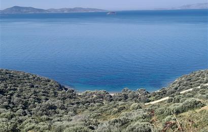 Bodrum Gümüşlük Bahçeli Müstakil Ev