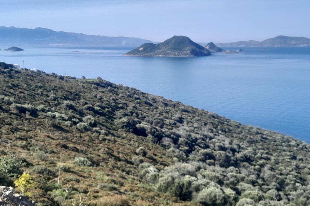 Bodrum Gümüşlük Bahçeli Müstakil Ev
