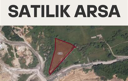 Uskumruköy'de Yatırımlık Satılık Tarla