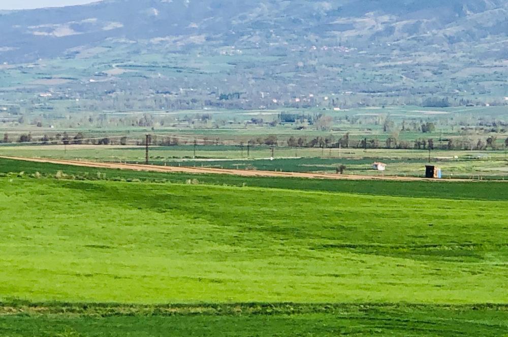 Kadırıkırı Köyü Ankara Yoluna Yakın 14.155 M2 Satılık Tarla!