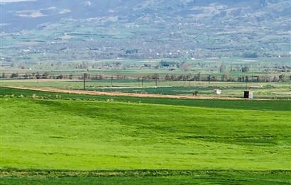 Kadırıkırı Köyü Ankara Yoluna Yakın 14.155 M2 Satılık Tarla!