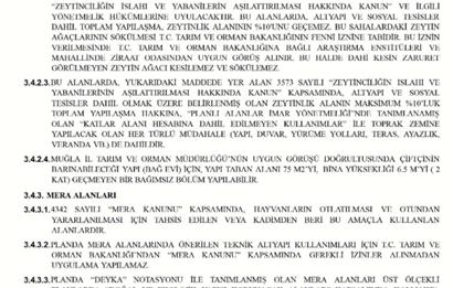 Bodrum Dereköy’de Dere Kenarında Yola Cepheli Müstakil 19.661 m2 Satılık Zeytinlik ~ Modern Çiftlik Yaşamınıza Uygun!