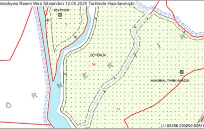 Bodrum Dereköy’de Dere Kenarında Yola Cepheli Müstakil 19.661 m2 Satılık Zeytinlik ~ Modern Çiftlik Yaşamınıza Uygun!