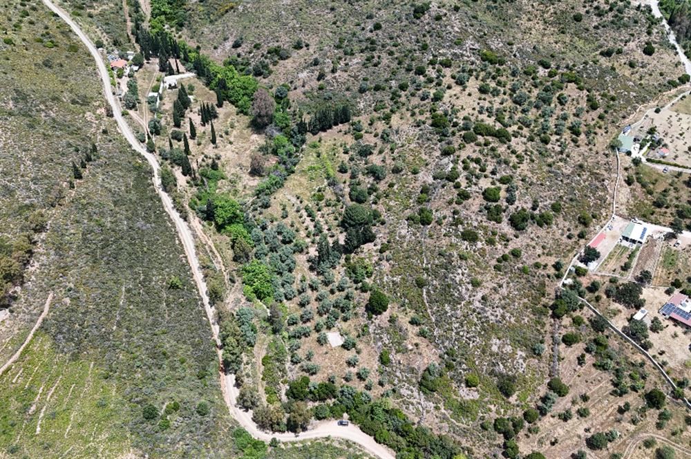 Bodrum Dereköy’de Dere Kenarında Yola Cepheli Müstakil 19.661 m2 Satılık Zeytinlik ~ Modern Çiftlik Yaşamınıza Uygun!