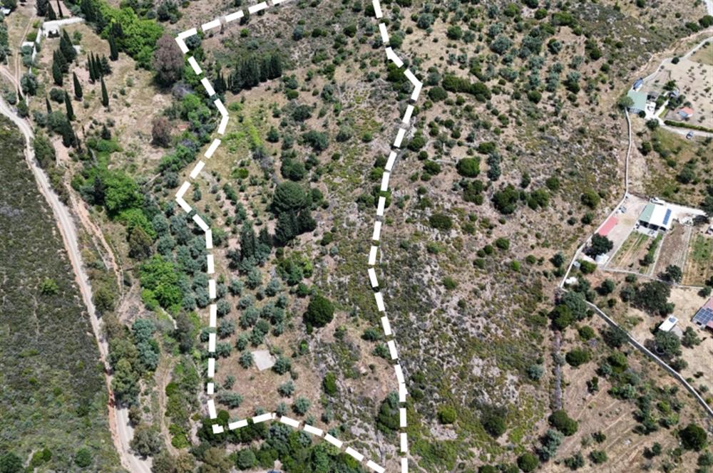 Bodrum Dereköy’de Dere Kenarında Yola Cepheli Müstakil 19.661 m2 Satılık Zeytinlik ~ Modern Çiftlik Yaşamınıza Uygun!