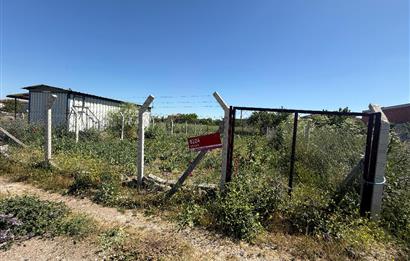 CENTURY21 BAL'DAN BALIKESİR GÜMÜŞÇEŞME MAH.'de SATILIK ARSA